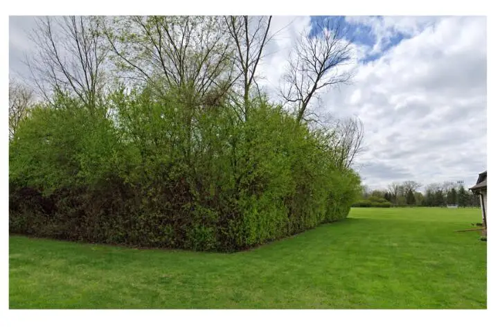 2605 Roberson Street, Saginaw, MI 48601 - #1