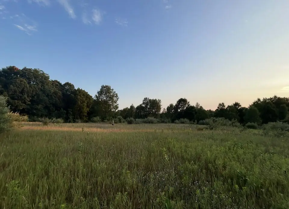 V/L E Pierce Road, Shelby, MI 49455 - #1