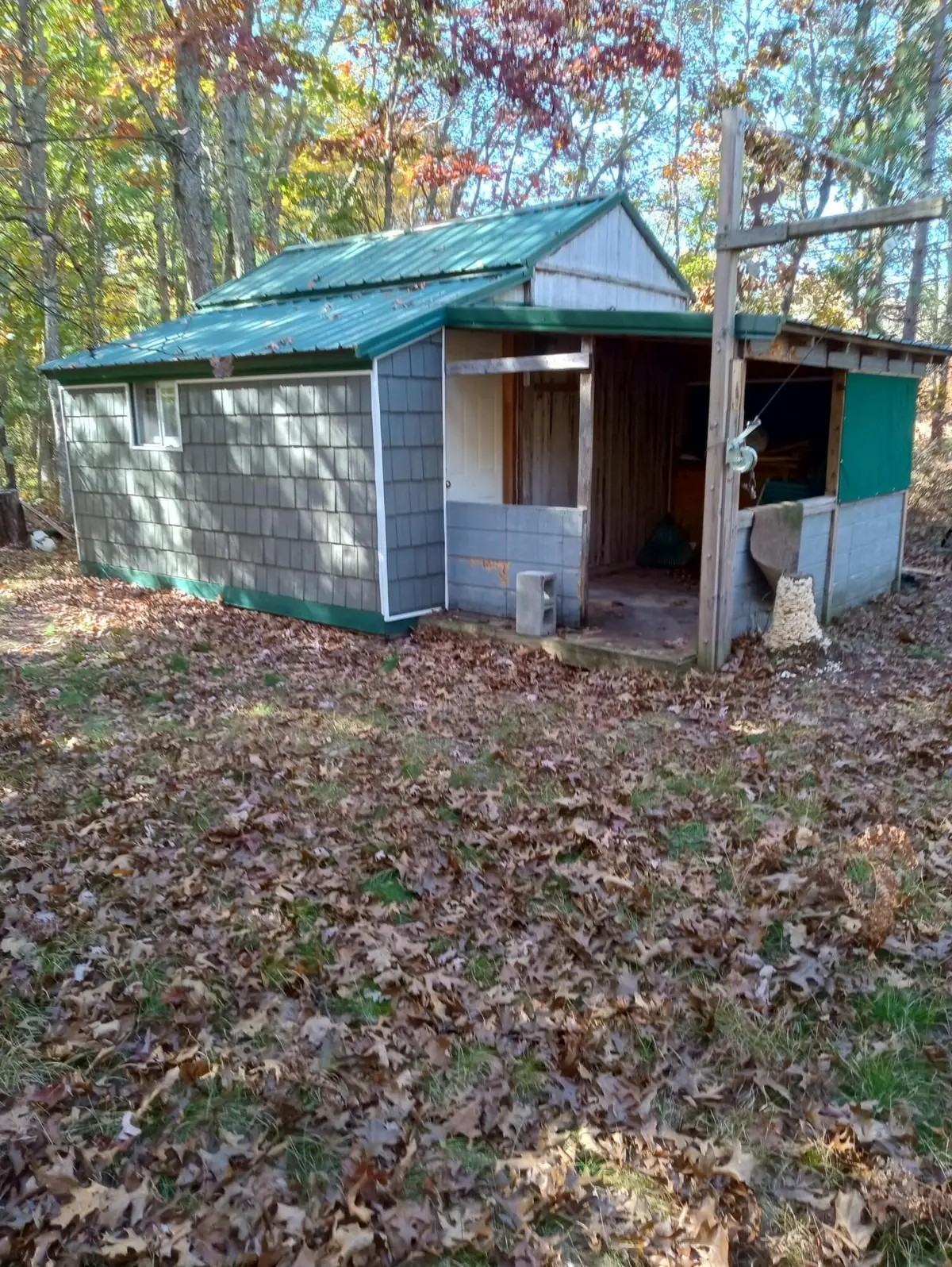 E Skeels Road, Whitehall, MI 49461 - #1