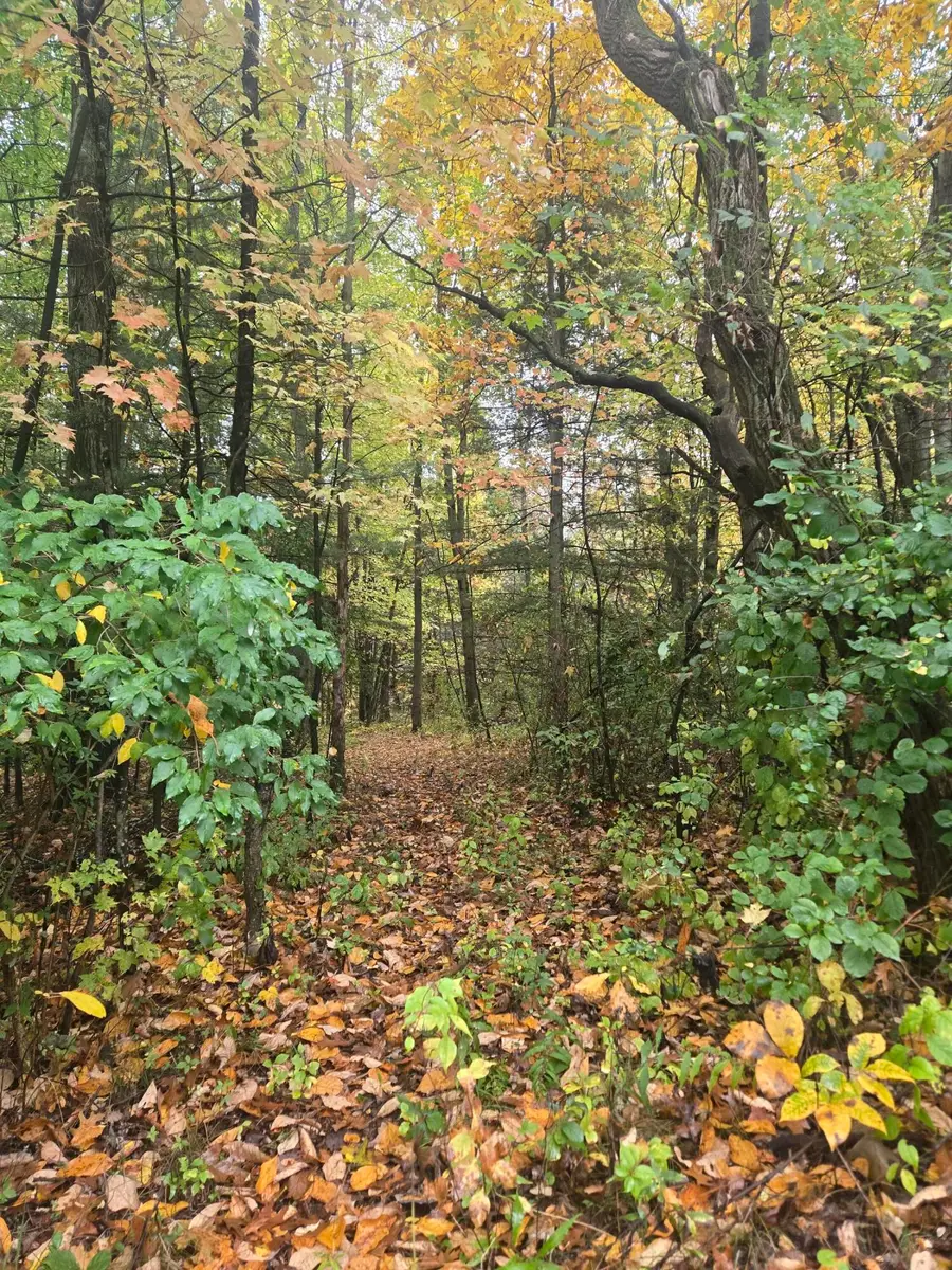 Halbert Road, Battle Creek, MI 49017 - #3