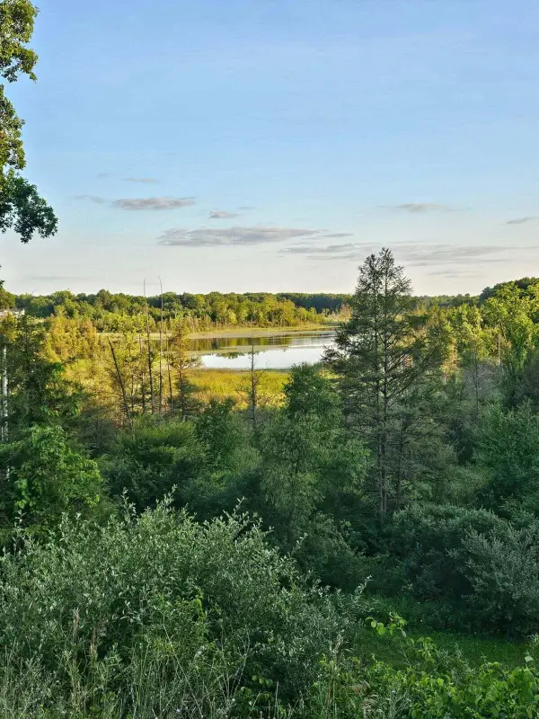 5464 Clear Lake Road, Grass Lake, MI 49240
