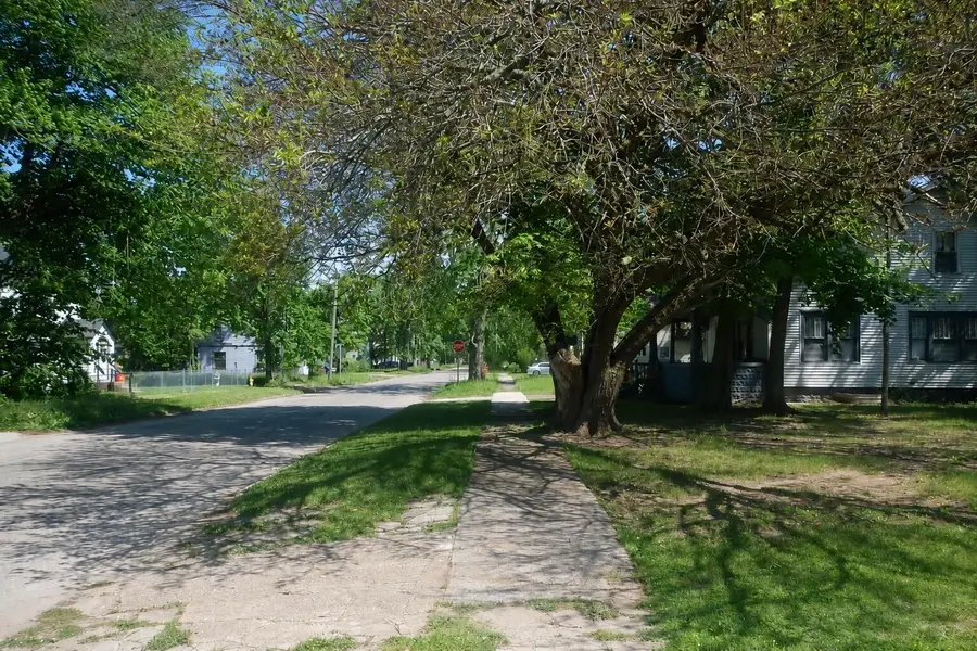 723 Pavone Street, Benton Harbor, MI 49022 - #2