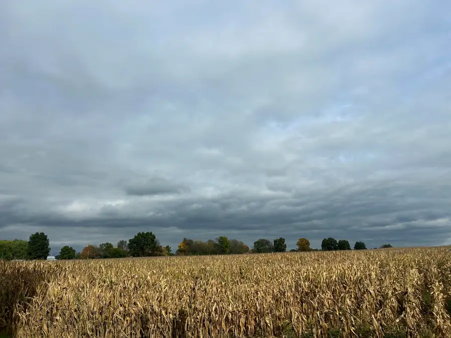 Noonan Road, Hickory Corners, MI 49060 - #3