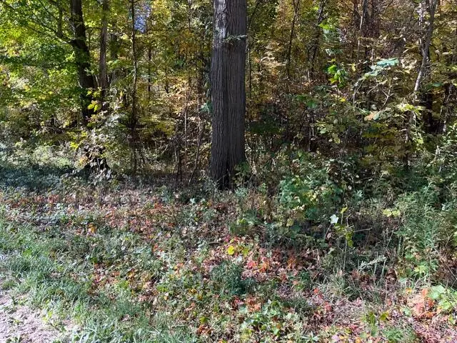 Warner Avenue #Parcel B, Fremont, MI 49412 - #2