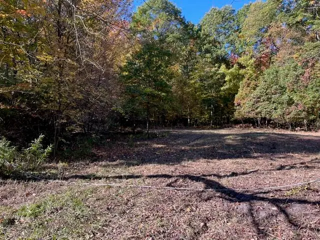 Warner Avenue #Parcel B, Fremont, MI 49412 - #3