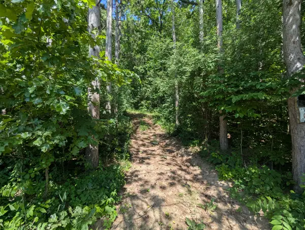 V/L North Avenue, Bellevue, MI 49021