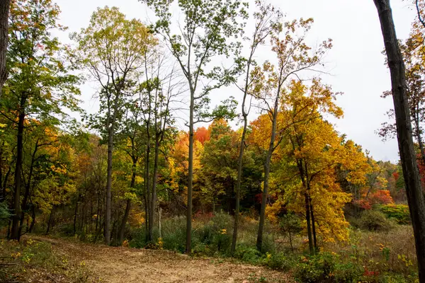V/L Wood School Road, Freeport, MI 49325