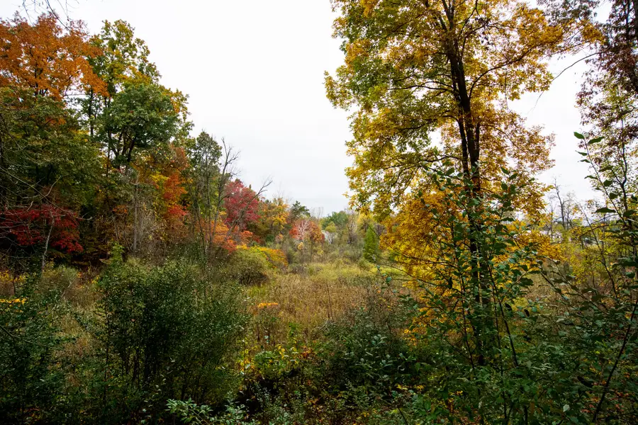 V/L Wood School Road, Freeport, MI 49325 - #2