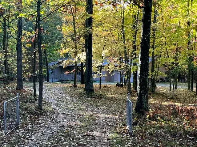 4168 W 9 Mile Road, Irons, MI 49644 - #3