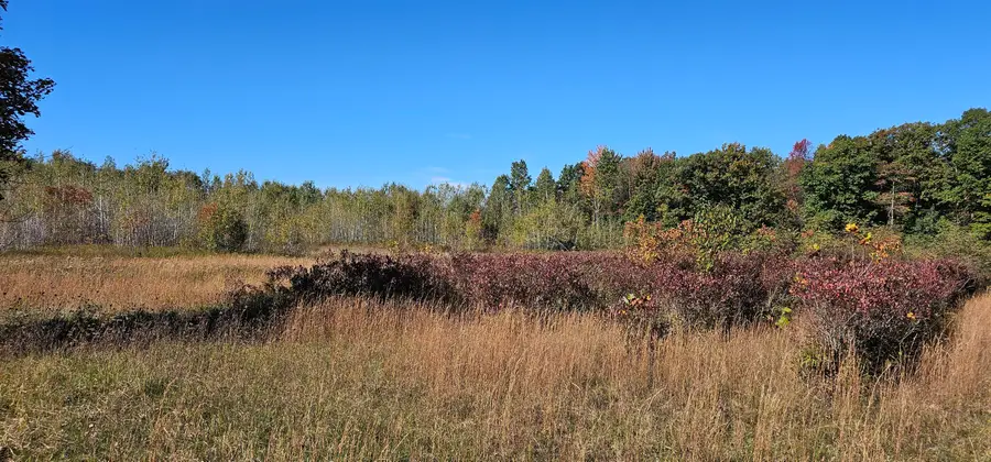 57900 County Road 380, Grand Junction, MI 49056 - #3