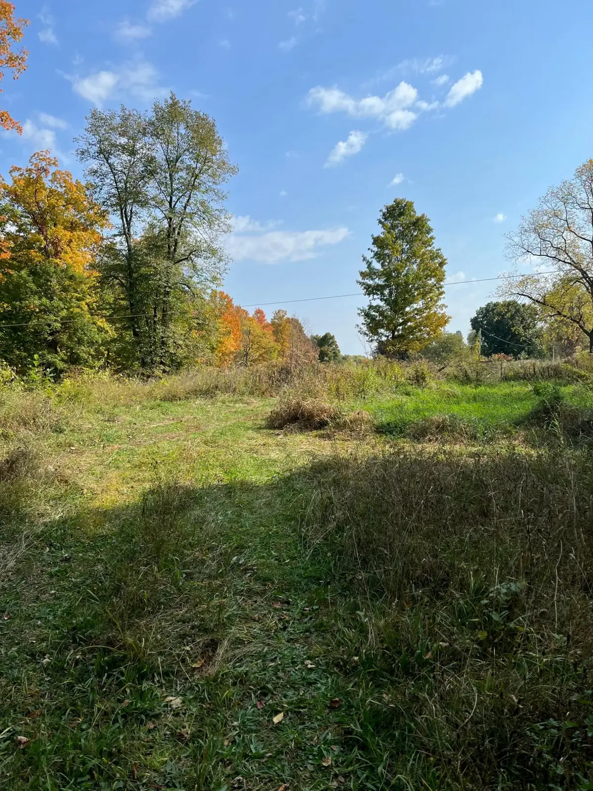 0 Hipps Hollow Road, Eau Claire, MI 49111 - #1