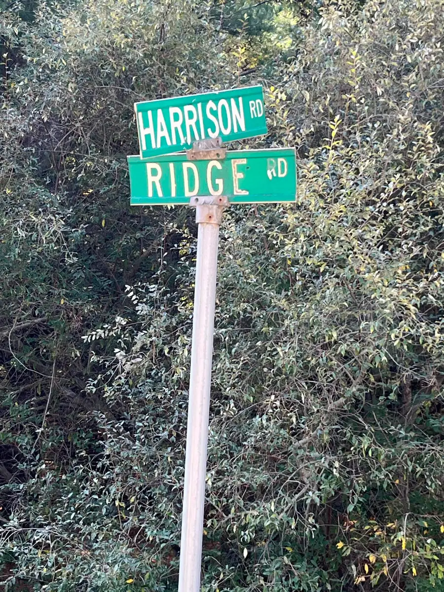8150 W Harrison Road #lot 2, Mears, MI 49436 - #2