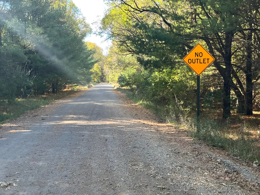 8150 W Harrison Road #Lot 3, Mears, MI 49436 - #3