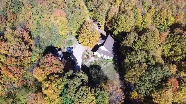 9500 Taylor Road, Bear Lake, MI 49614 - #2