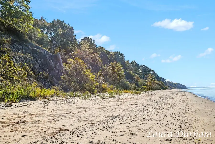 Leon Ave, Fennville, MI 49408 - #2