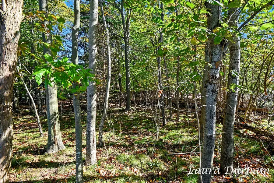 Leon Ave, Fennville, MI 49408 - #3
