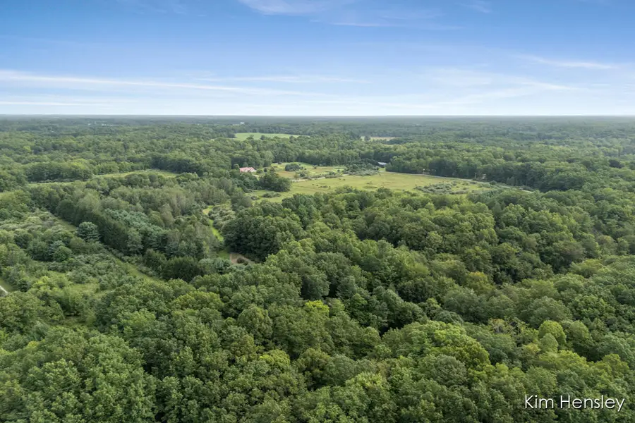 9177 W 112th Street, Twin Lake, MI 49457 - #2