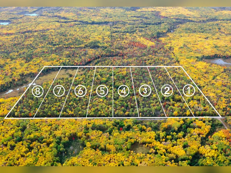 Lot 2 Norwich Road, Ewen, MI 49925 - #2