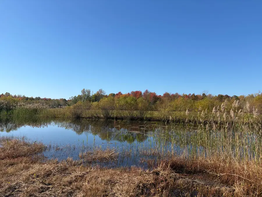 VL 60th Street, Grand Junction, MI 49056 - #2