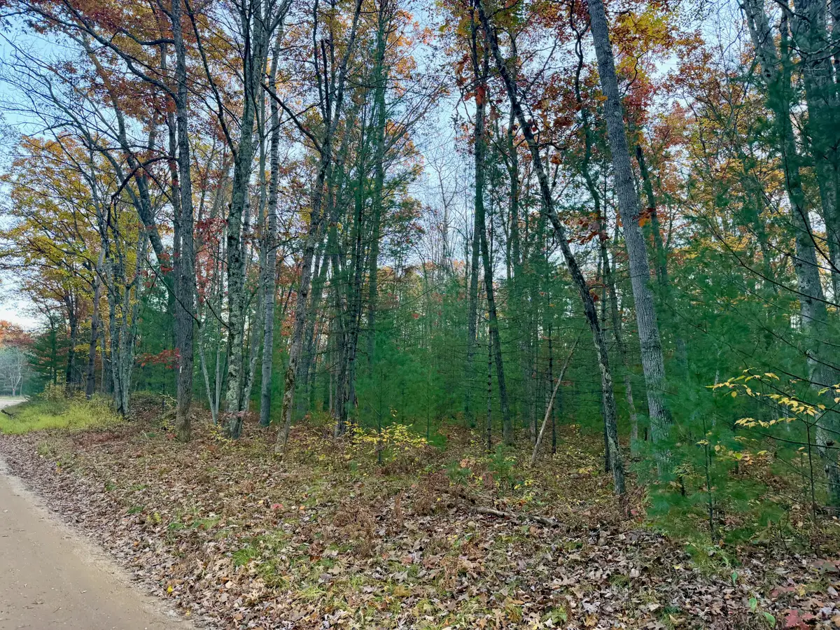 9157 E Riverside Drive, Irons, MI 49644 - #1