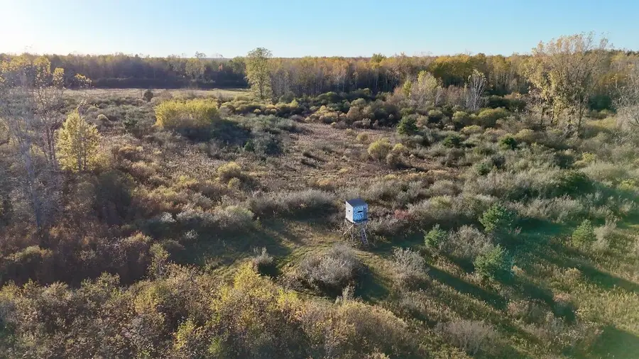 4292 W Curtis Road, Coleman, MI 48618 - #2