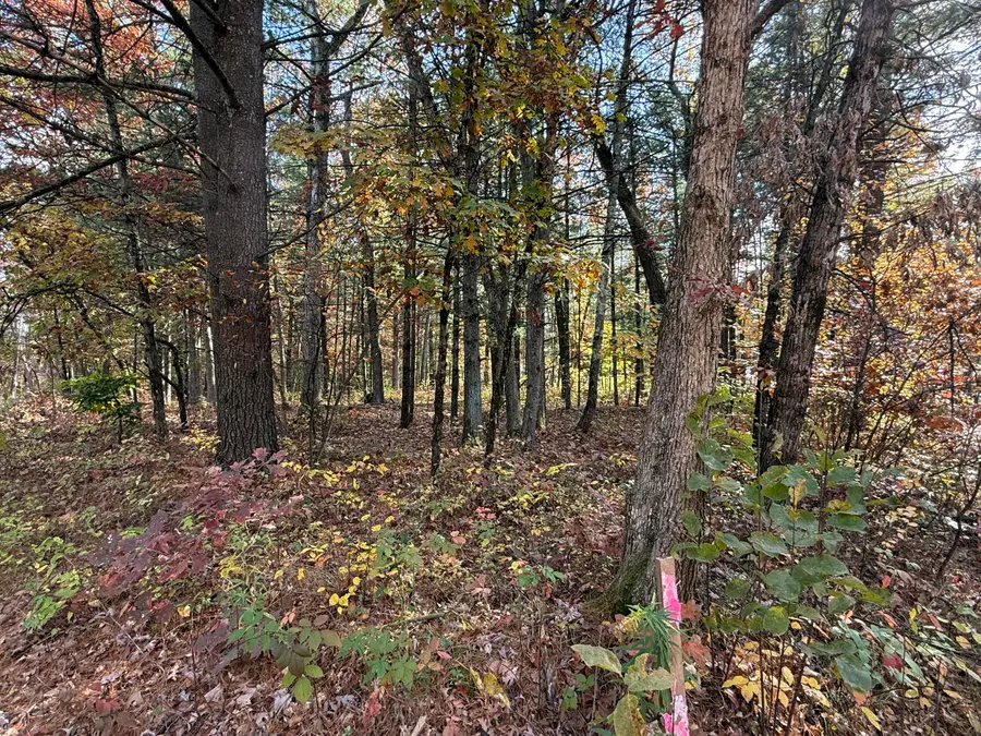 194 Saginaw Drive, Howard City, MI 49329 - #3