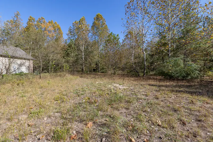 29265 Misty Pines Street, Dowagiac, MI 49047 - #3