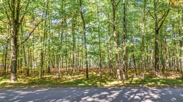 6231 Fox Run Circle, Stanwood, MI 49346