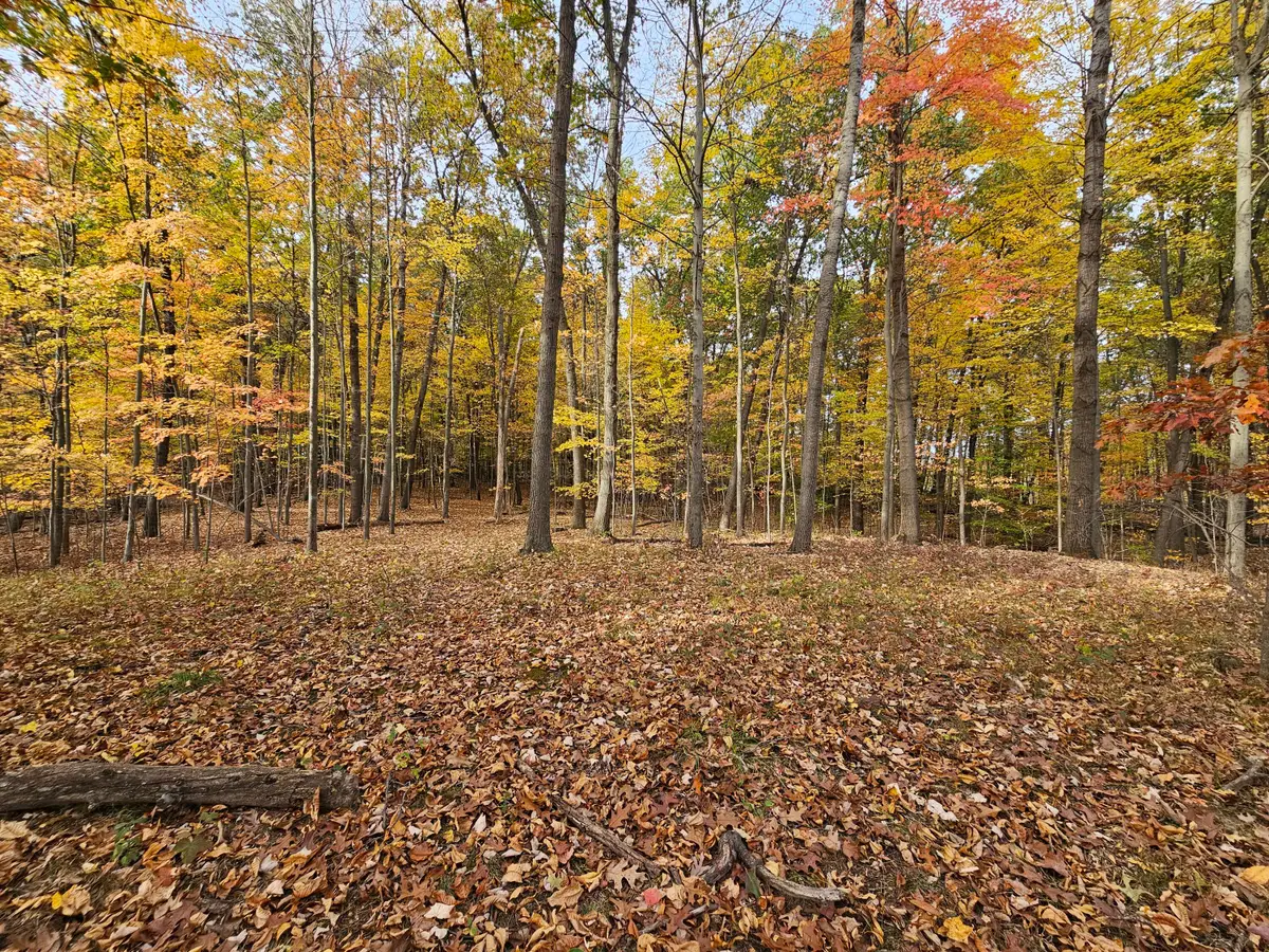 10068 Town Road, Parma, MI 49269 - #1