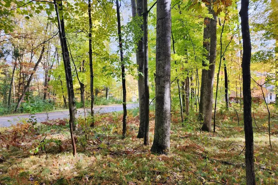 11875 Timberlane Drive, Stanwood, MI 49346 - #2