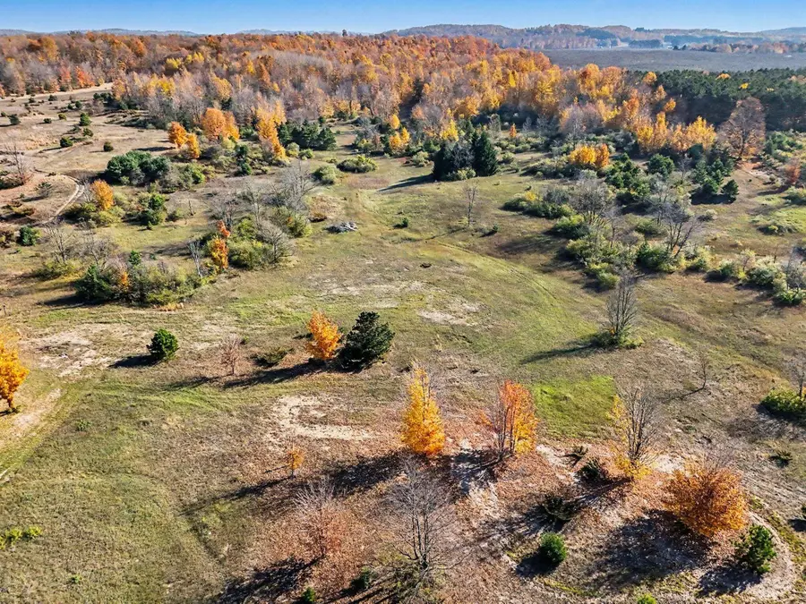 Butwell Road, Bear Lake, MI 49614 - #2