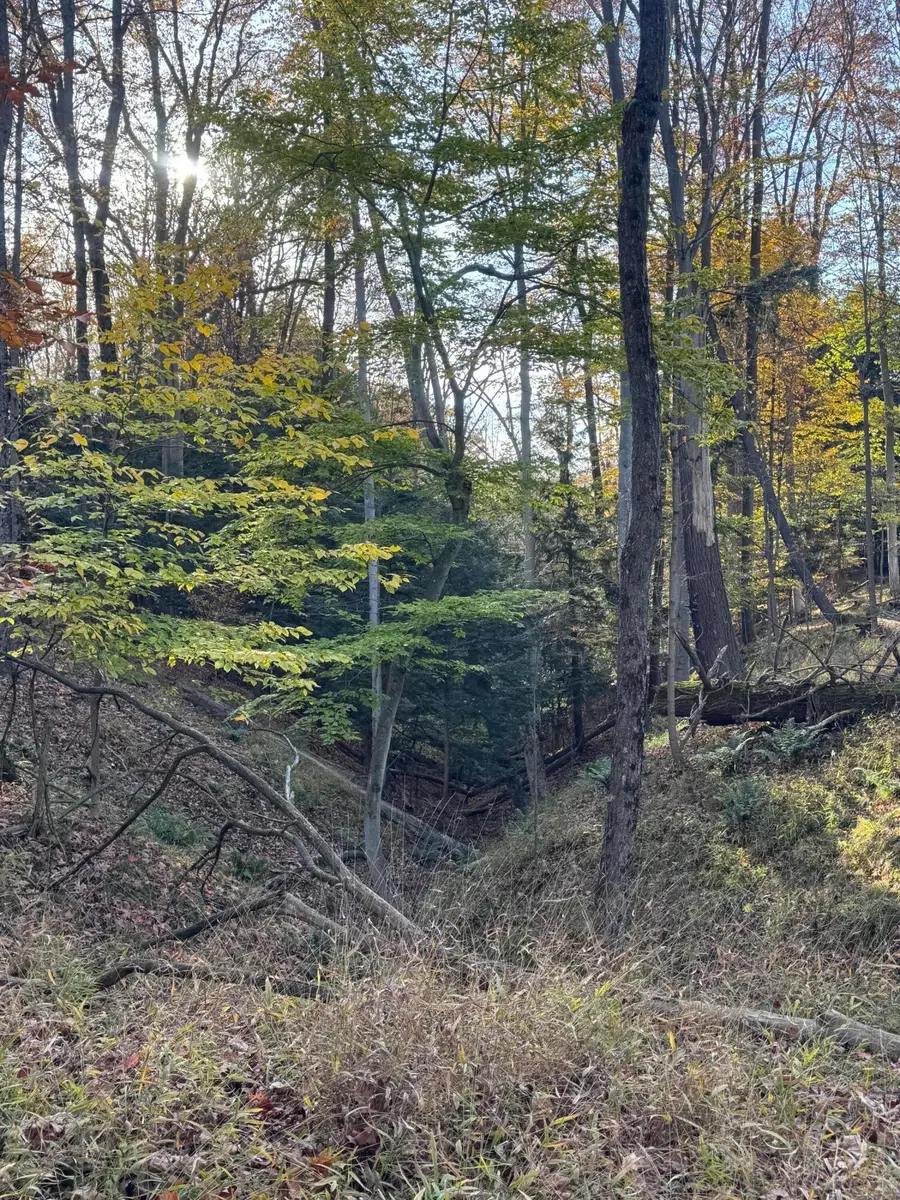 V/L S Plymouth, Fremont, MI 49412 - #2