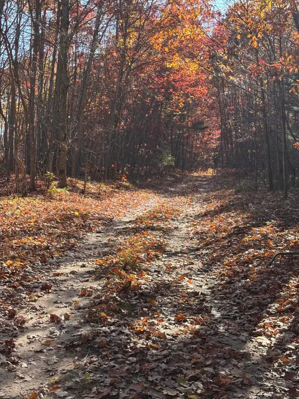 E Free Soil Road, Free Soil, MI 49411