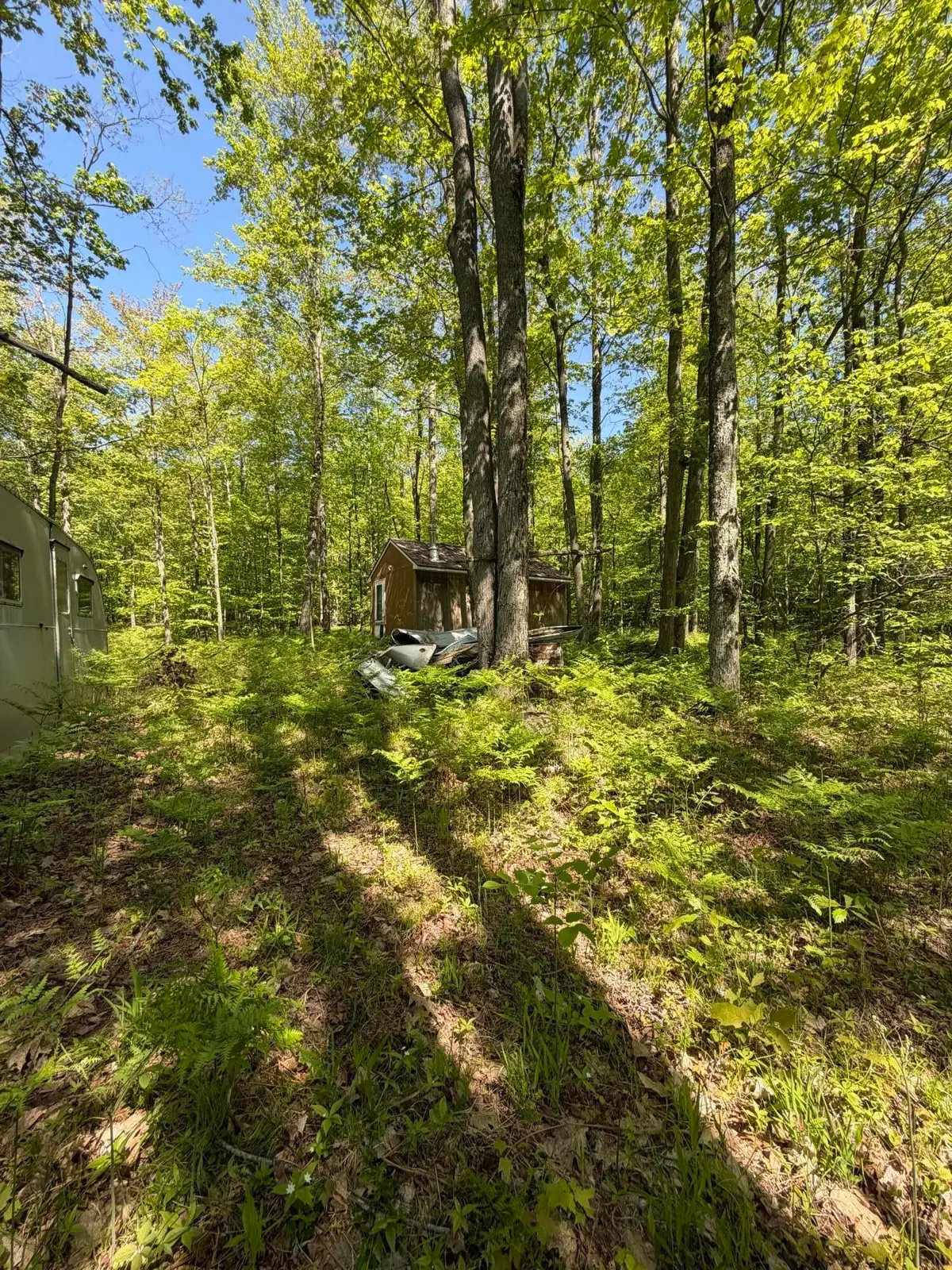 110th Avenue, Evart, MI 49631 - #1