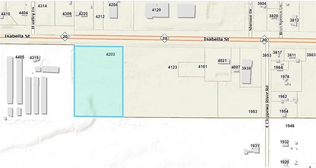 4203 E Isabella Road, Homer, MI 48440 - #1