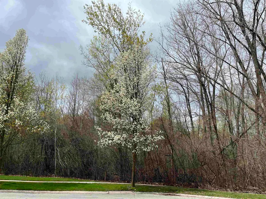 5523 Oakridge Drive, Midland, MI 48640 - #3