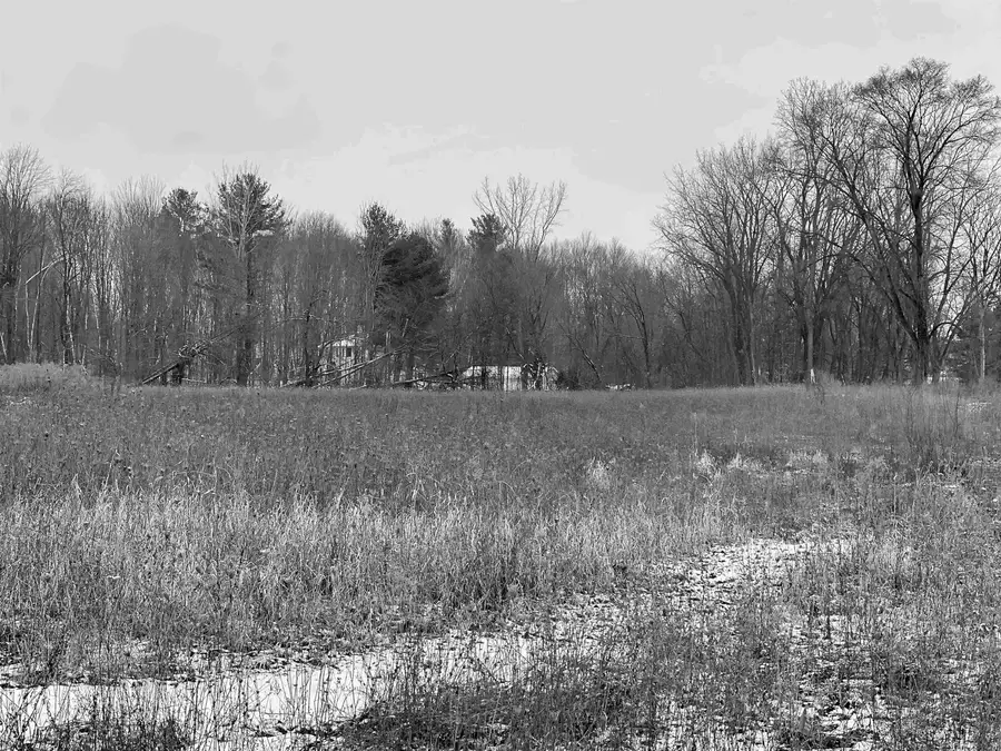 A Wilkinson Road, Freeland, MI 48623 - #2