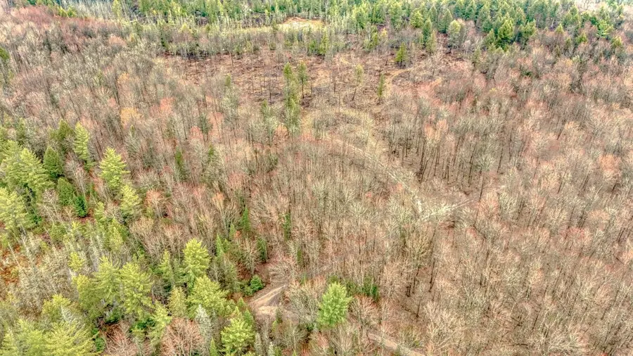 N948 Old Plank Road, Wetmore, MI 49895 - #2