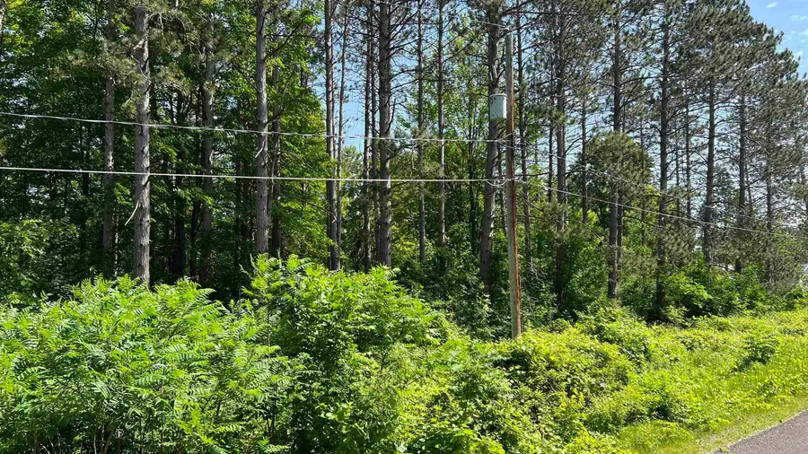 VL W Ingham Road, Sanford, MI 48657 - #2