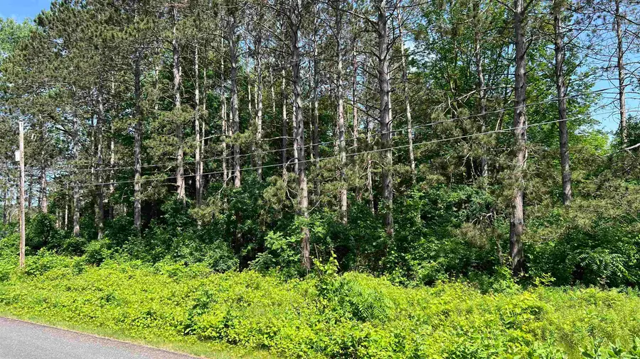 VL W Ingham Road, Sanford, MI 48657 - #3