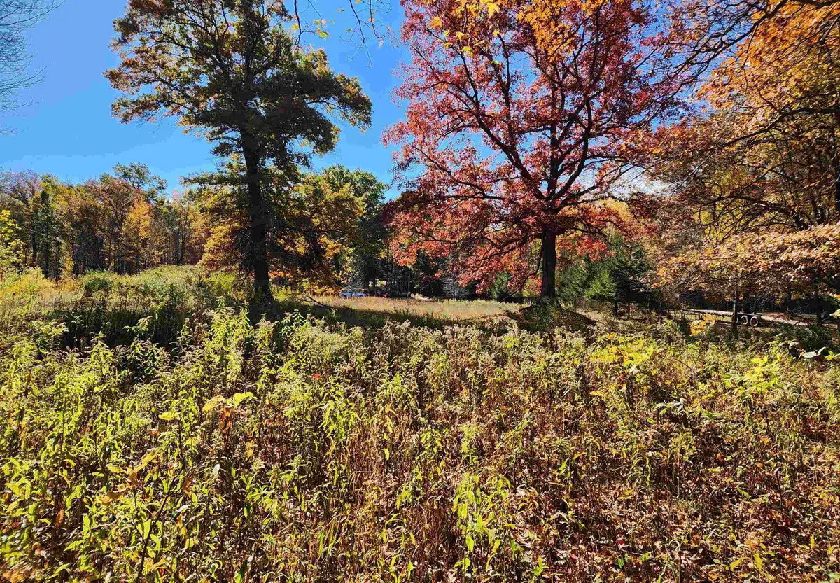 2356 W Olson Road, Sanford, MI 48657 - #1