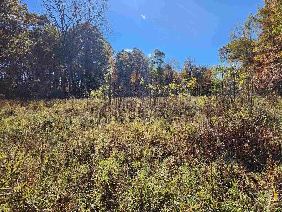 2356 W Olson Road, Sanford, MI 48657 - #3