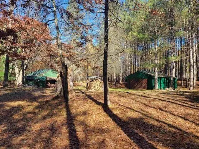 3385 Jones Road, Beaverton, MI 48612 - #1