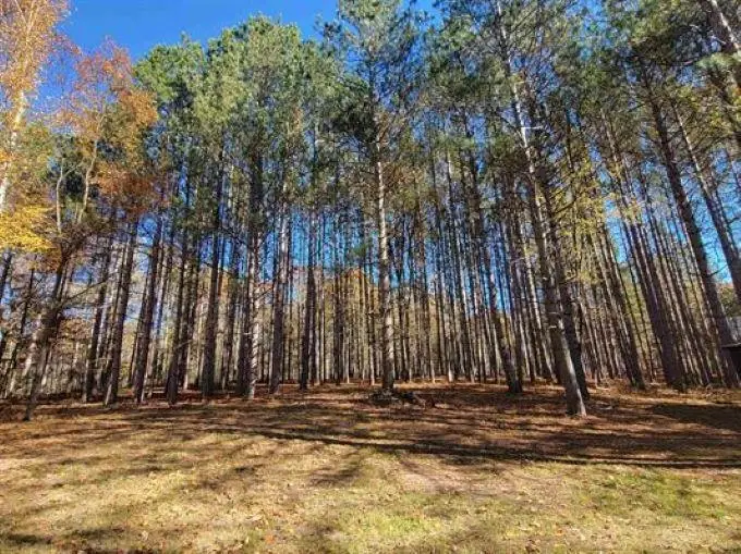 3385 Jones Road, Beaverton, MI 48612 - #2