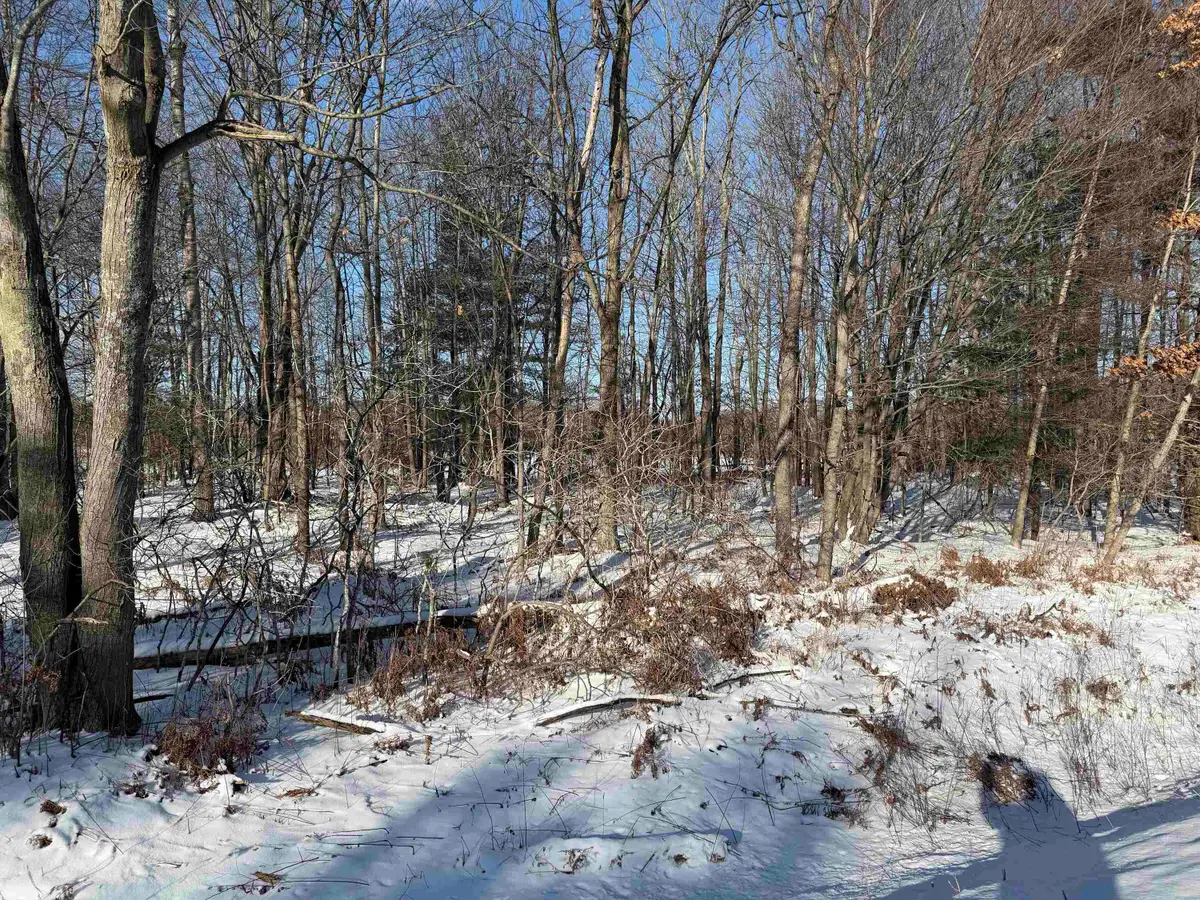 S Sasse Road, Midland, MI 48640 - #1