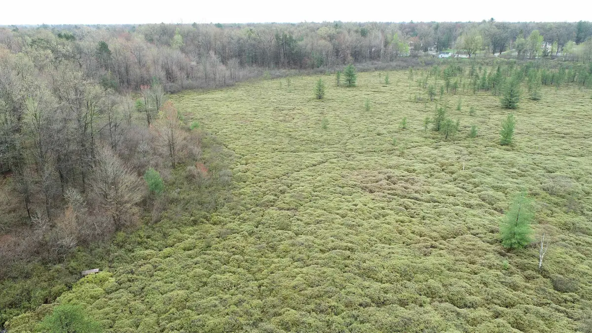 VL Neva Virginia Road, Prescott, MI 48756 - #1