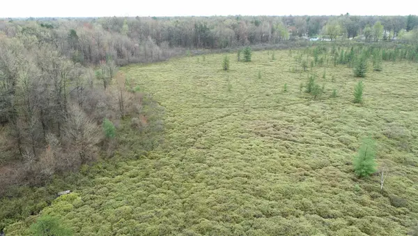 VL Neva Virginia Road, Prescott, MI 48756