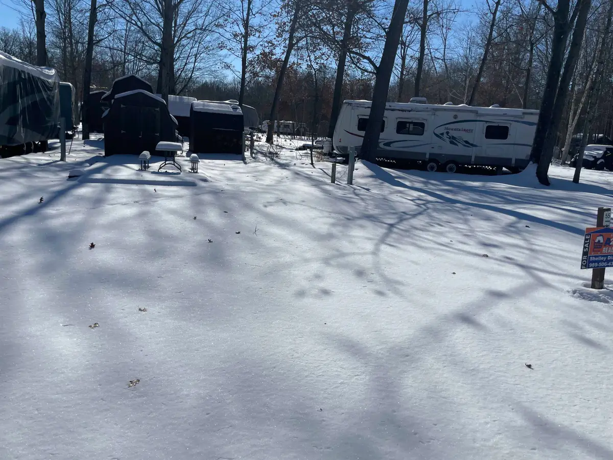 tbd elm cir Street, Sanford, MI 48657 - #1