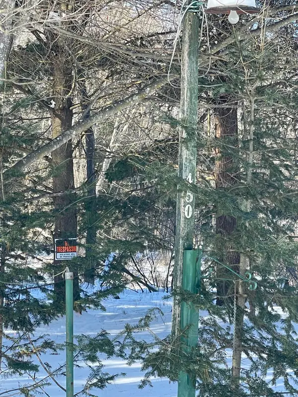 tbd 33 holmes Streets, Lake George, MI 48633