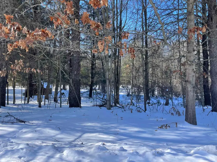 tbd 33 holmes Streets, Lincoln, MI 48633 - #3